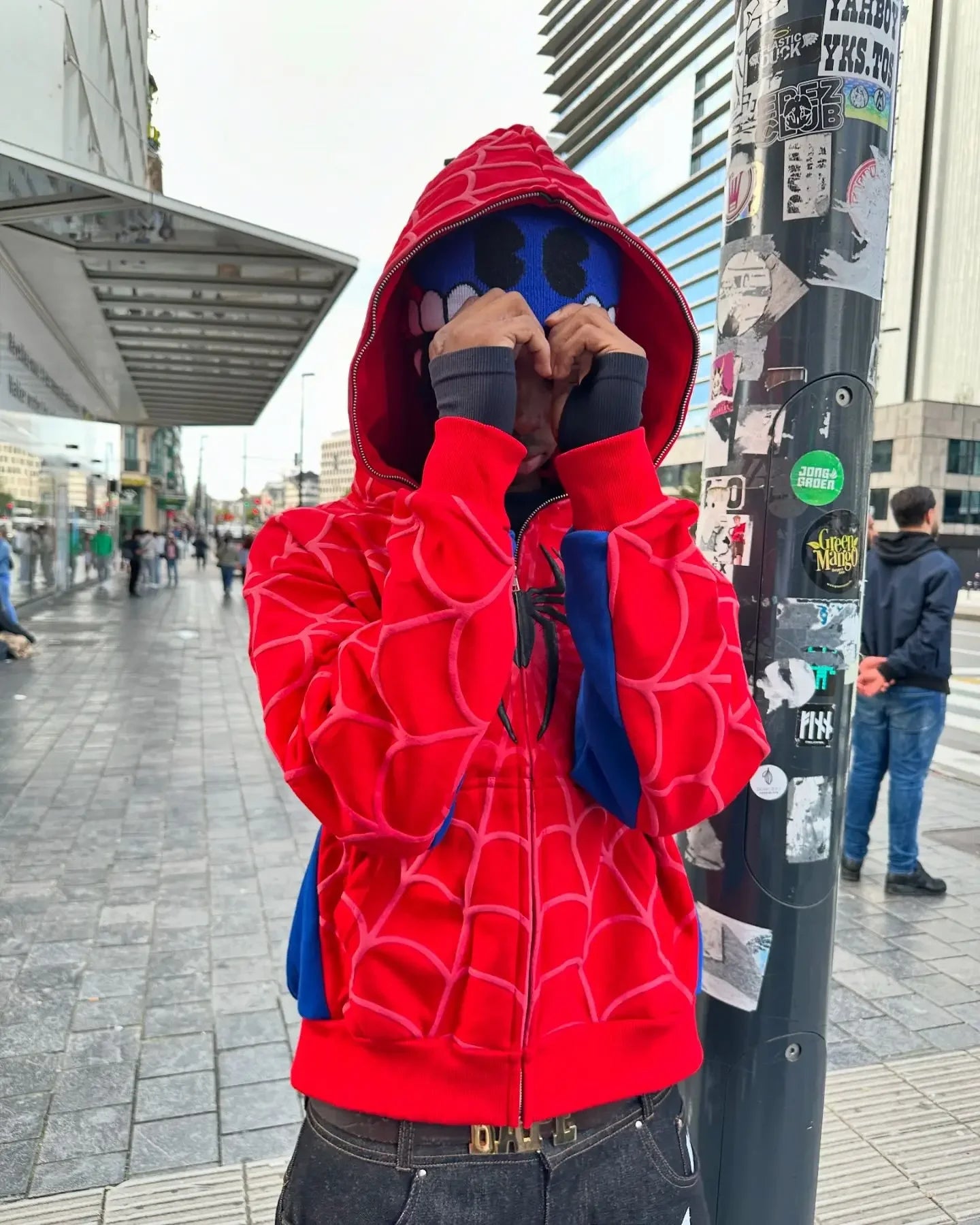 Spider Foaming 3d Hoodies